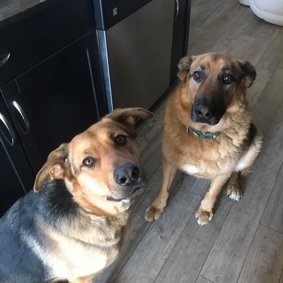 Meet your Posher, Brittany - Picture 1 of 1